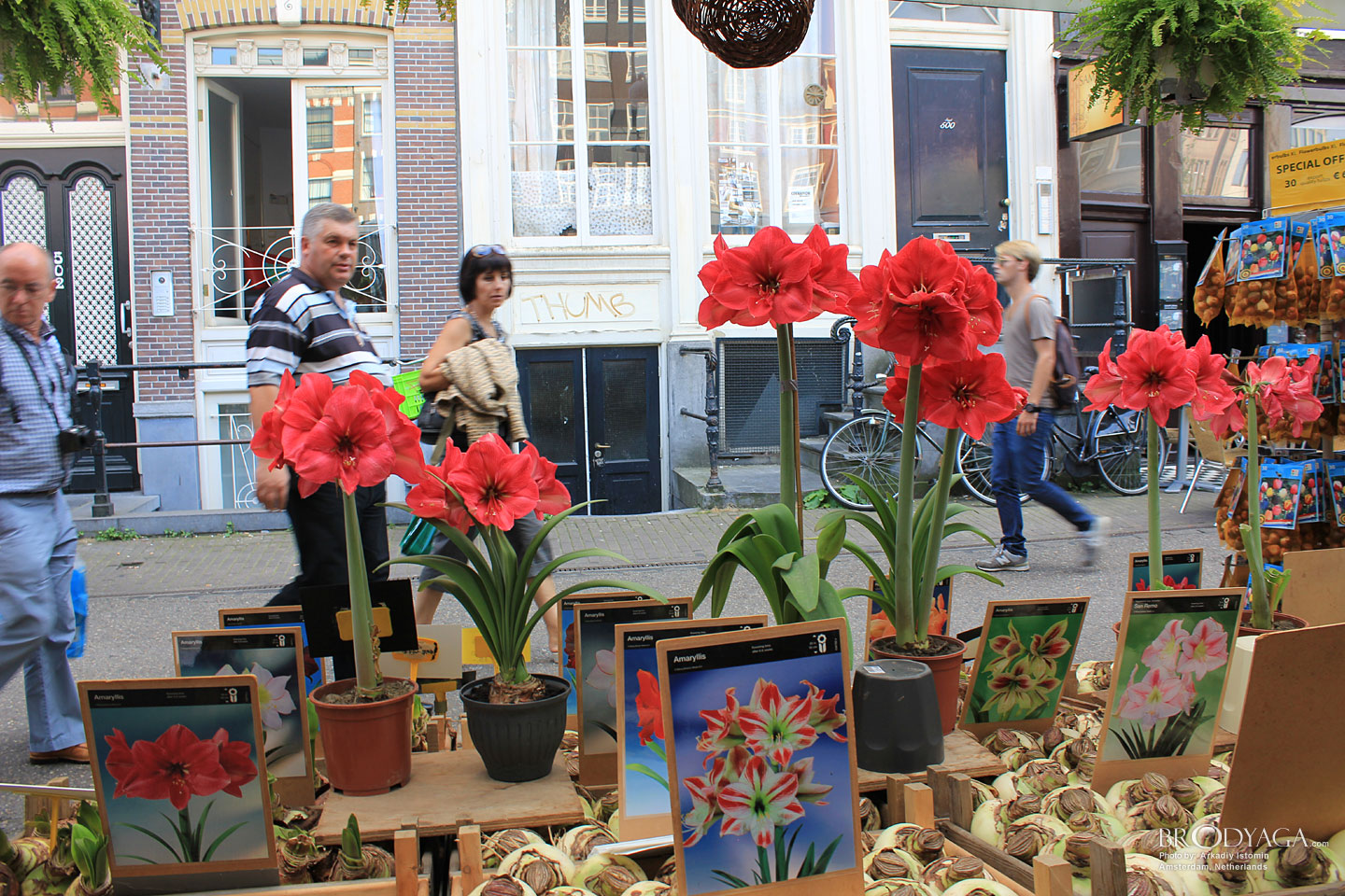 Amsterdam